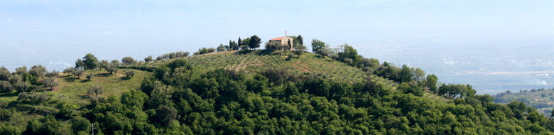 La Festa della Santa Croce